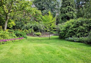 Optimiser l'expérience du jardin à Montreuil-sur-Breche